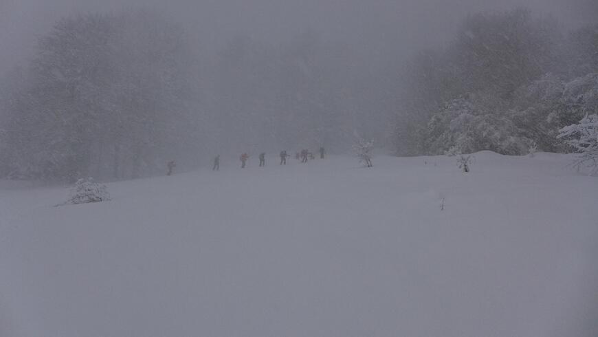 on a pedu la 7eme compagnie ! on a pedu la 7eme compagnie !