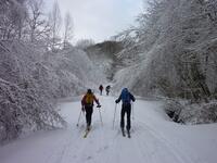 dimanche matin dimanche matin