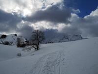 on y croit... on y croit...